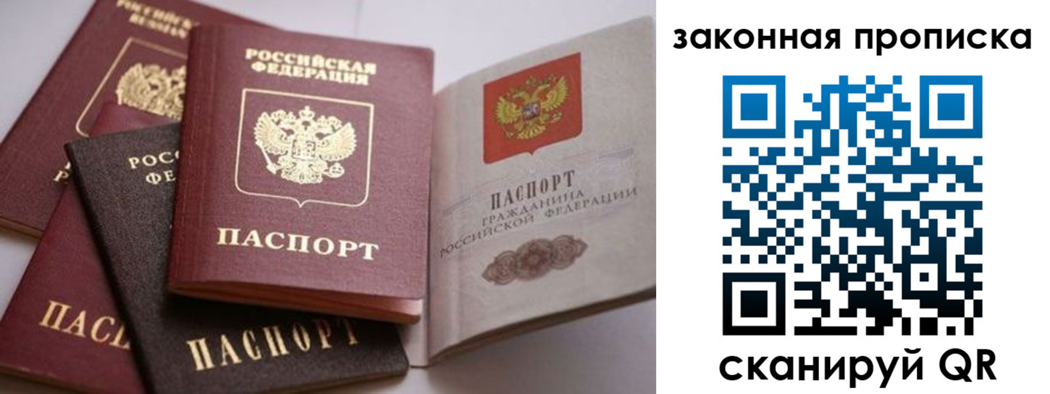 временная регистрация надежно в Волосово